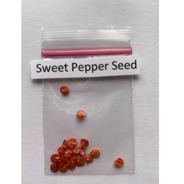 Sweet Pepper Seeds, Bell Pepper Seeds, Vegetable Seeds, Variety012