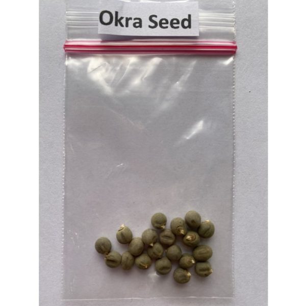 Okra Seeds, Vegetable Seeds, Variety007 Rooted Retreat