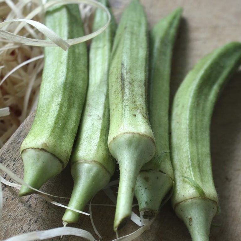 Okra Seeds, Vegetable Seeds, Variety007 Rooted Retreat