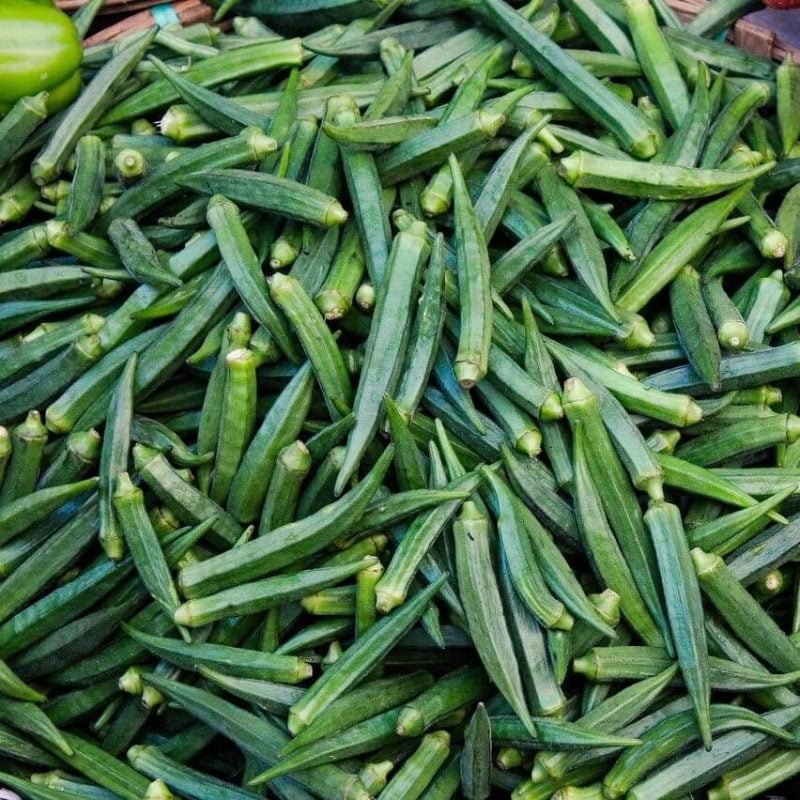 Okra Seeds, Vegetable Seeds, Variety007 Rooted Retreat