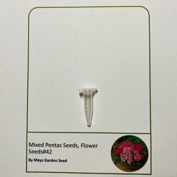 Mixed Pentas Seeds, Flower Seeds#42 – Rooted Retreat