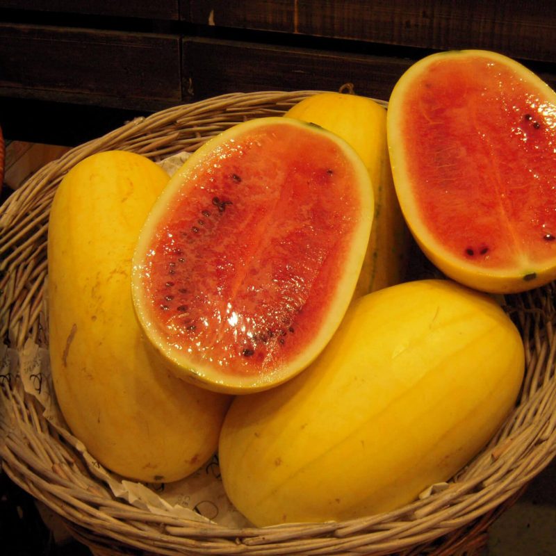 Black Diamond Watermelon Seeds, Vegetable Seeds#020 – Mays Garden Seed